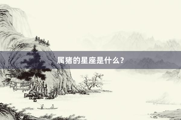 属猪的星座是什么？