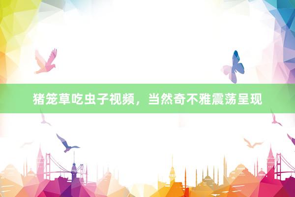 猪笼草吃虫子视频，当然奇不雅震荡呈现