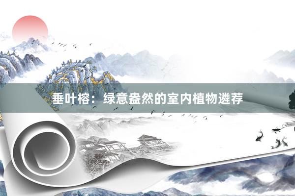 垂叶榕：绿意盎然的室内植物遴荐