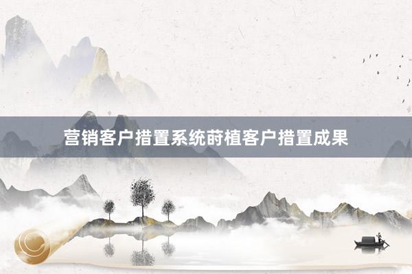 营销客户措置系统莳植客户措置成果